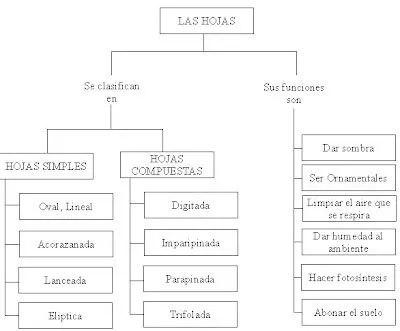 agenda educativa: UNIDAD DE APRENDIZAJE