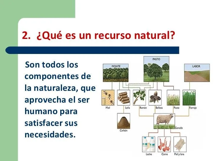 Agotamiento De Los Recursos Naturales