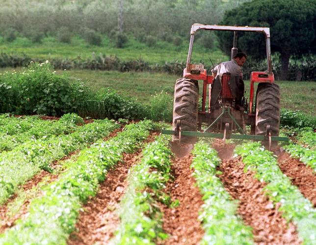 Un agricultor arando sus tierras dedicadas a cultivos ecológicos ...