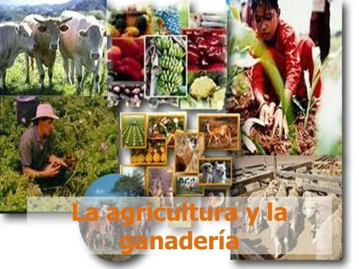 LA AGRICULTURA Y LA GANADERÍA