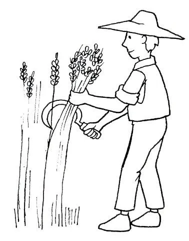 Dibujo de la agricultura para colorear - Imagui