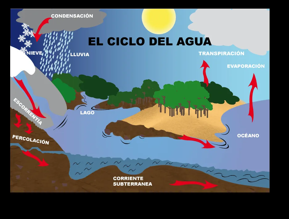 EL CICLO DEL AGUA | LA TRIBU C