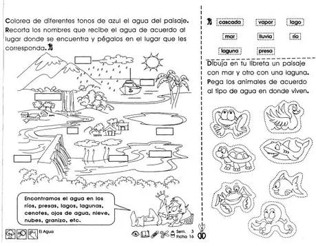 El Agua 3er Grado - Paperblog