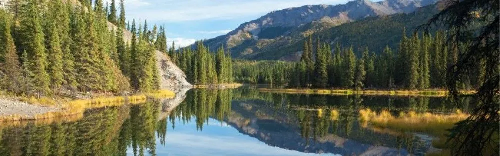 Agua y Medio Ambiente | Información técnica y reflexiones