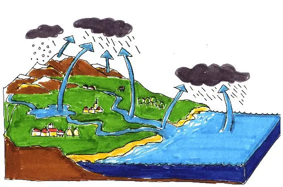 El agua: ¿Cuáles son los tres estados del agua?