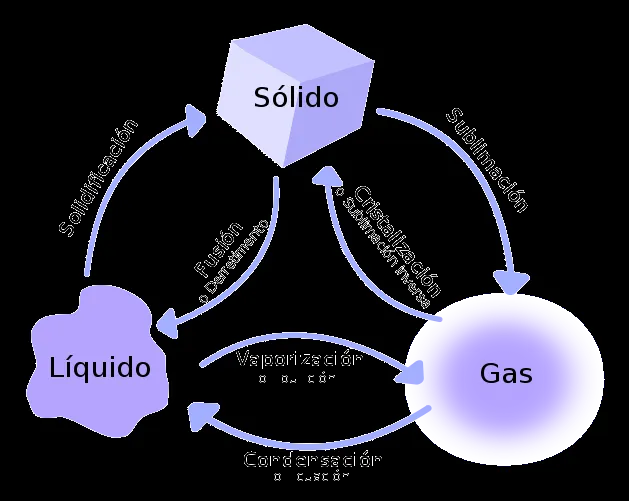 El agua: una sustancia extraordinaria