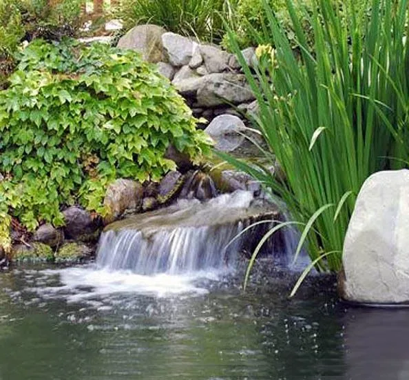 El agua en tu jardín | Creajardin...