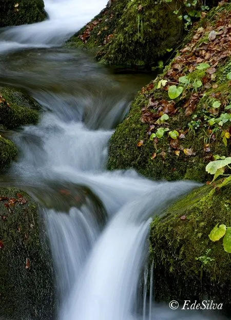 Agua en movimiento | juanandresrv Weblog