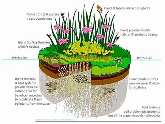 Agua | Salud y Ambiente