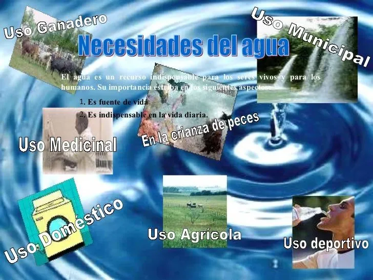 El agua en nuestra vida