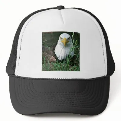 águila calva gorros bordados de Zazzle.