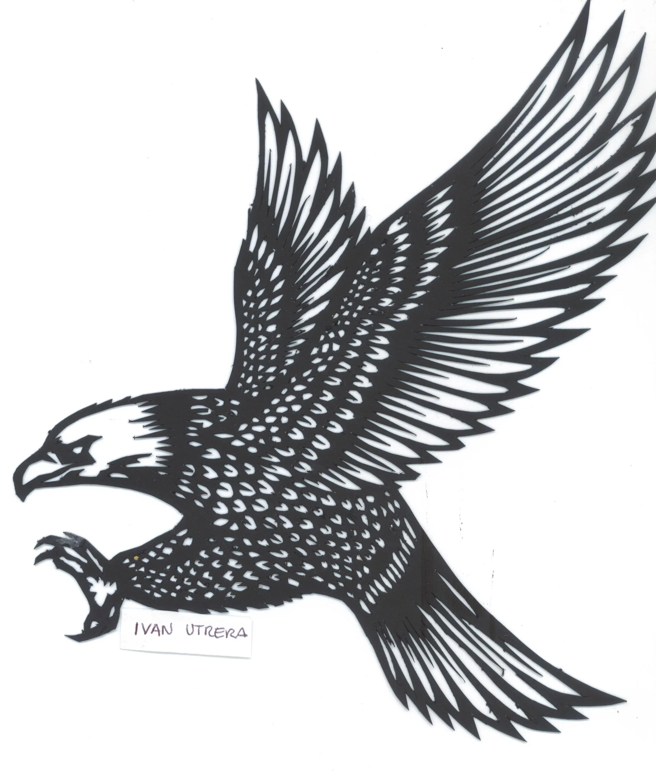 aguila papercut | Ivan Utrera