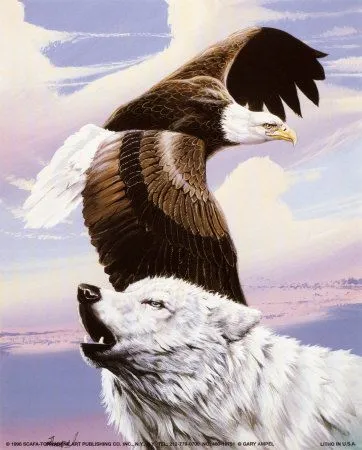 Águila volando con lobo Pósters por Gary Ampel en AllPosters.