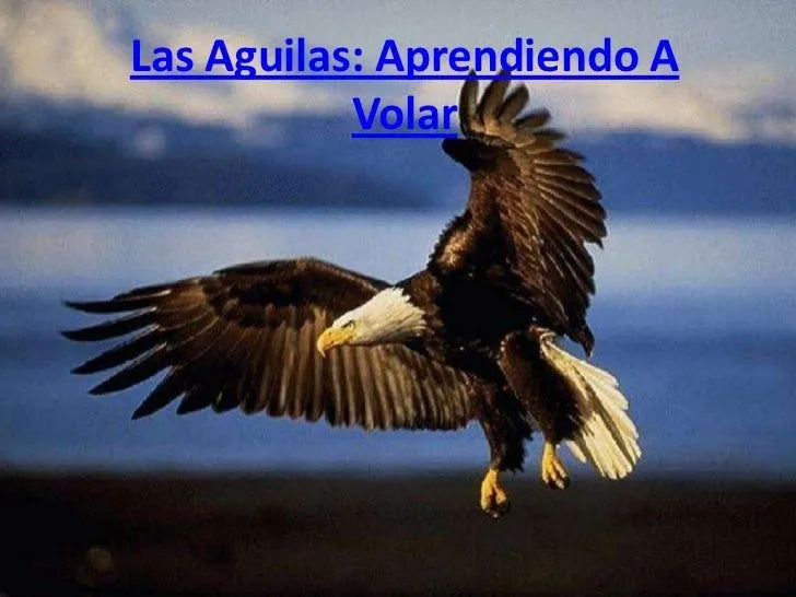 Las Aguilas