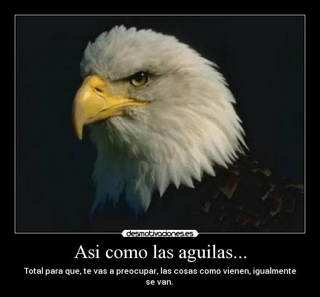 Asi como las aguilas... | Desmotivaciones