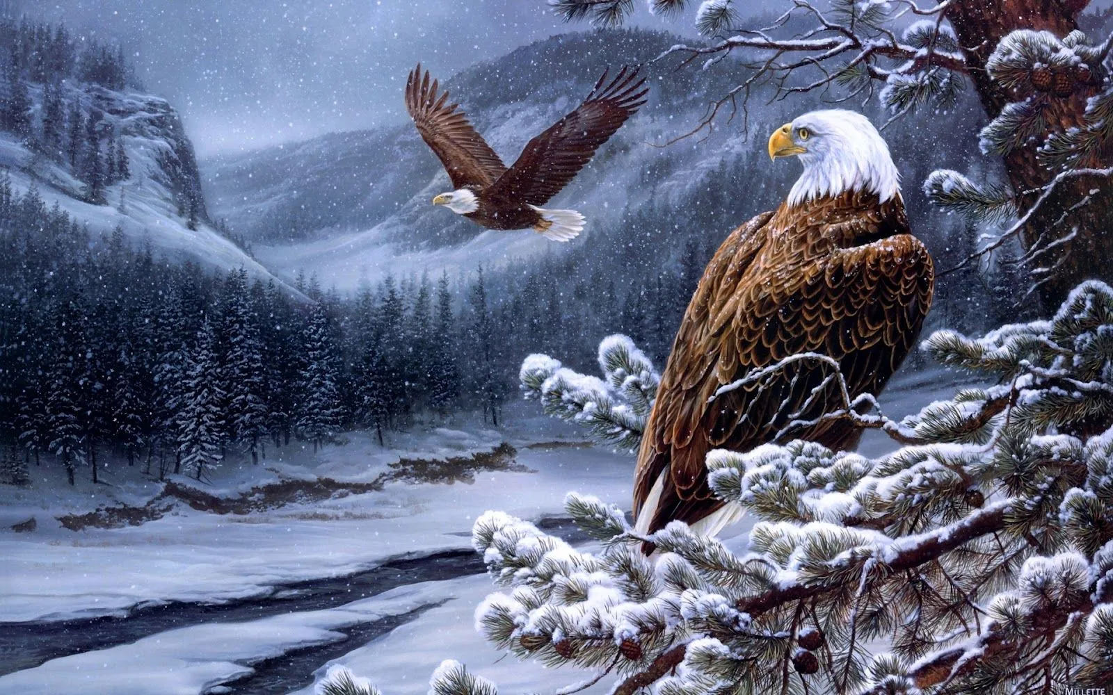 Aguilas en la Nieve - Fondos de Pantalla HD - Wallpapers HD