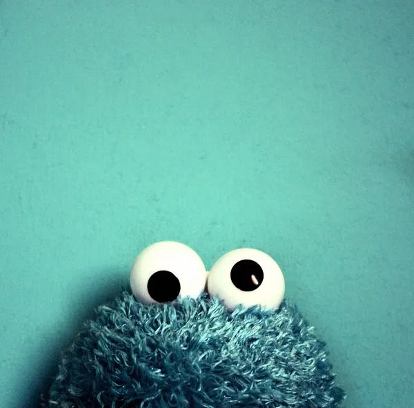 Ainoa.: Cookie Monster.