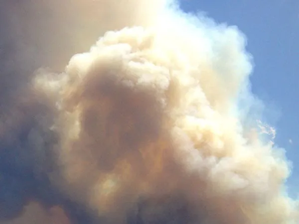 Las Alamedas Abiertas: El humo y la Burocracia Sindical, hoy ...