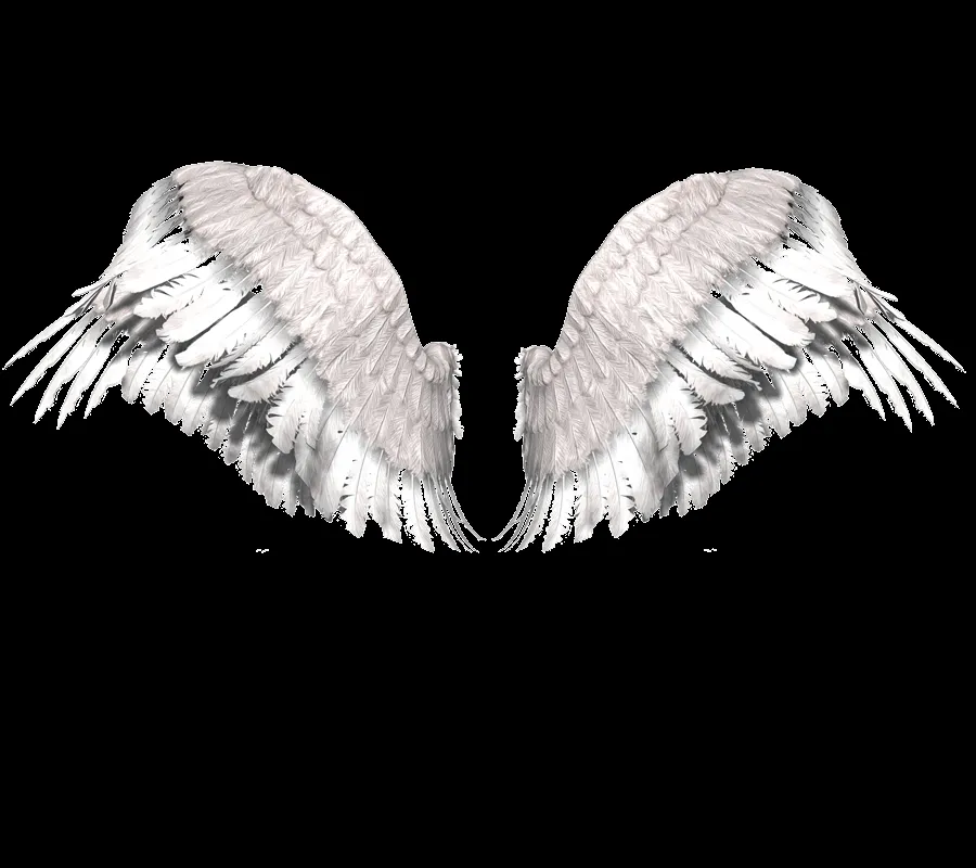 Alas de angel PNG by EugeBiebz212 on DeviantArt