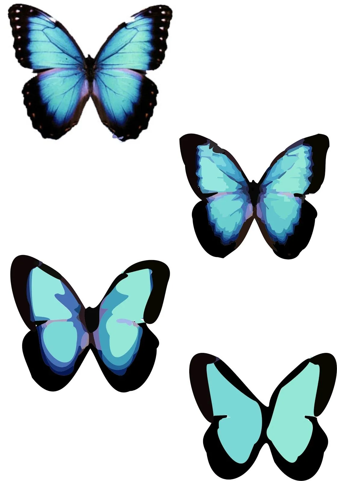 alba: mariposas vectorizadas con diferente grado