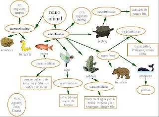 Como hacer un álbum de animales vertebrados e invertebrados - Imagui