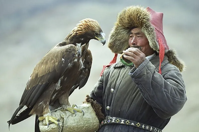 La Aldea Irreductible: NATURALEZA ASOMBROSA - AGUILA vs ZORRO