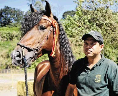 AlDia.cr - Diario de Costa Rica - 4 mil caballos finos serán las ...