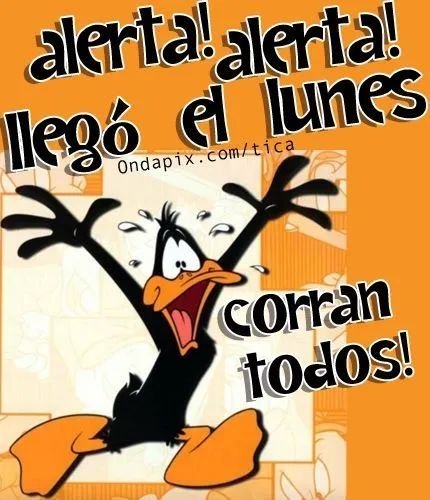 Alerta llego el #lunes #pato lucas | Graciosas | Pinterest