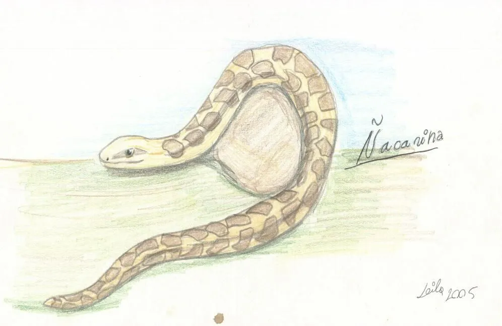 ALETHEIA: dibujos a lapiz inspirados en el texto ANACONDA de ...