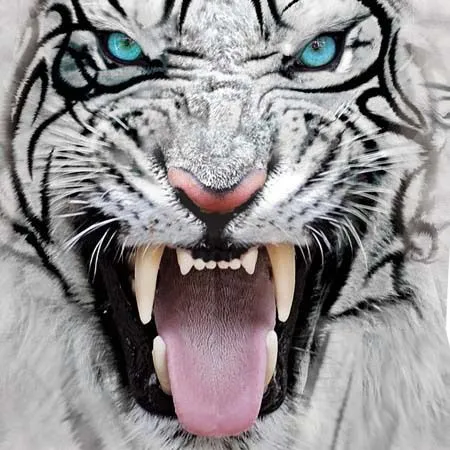 Aliexpress.com: Comprar Cabeza de tigre blanco Emoji 3D impresión ...