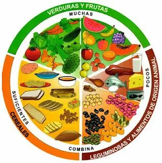 Alimentación Balanceada ~ Ciencias Naturales