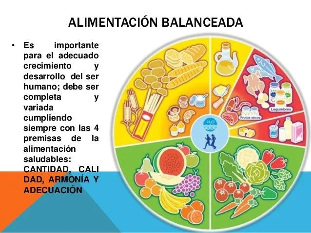 Alimentación balanceada y loncheras nutritivas