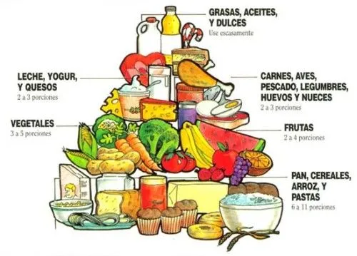 Alimentación diaria: hidratos, grasas, proteínas y vitaminas (I ...