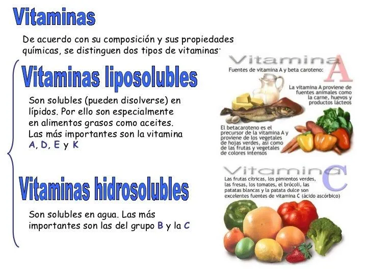 ALIMENTACION Y NUTRICION