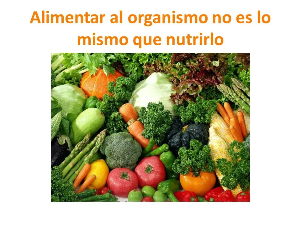 Alimentar un organismo es igual que Nutrirlo? Comida saludable ...