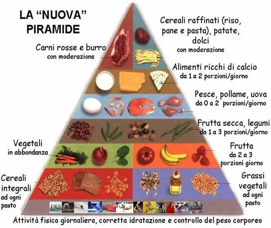 Alimentazione equilibrata e scelta degli alimenti