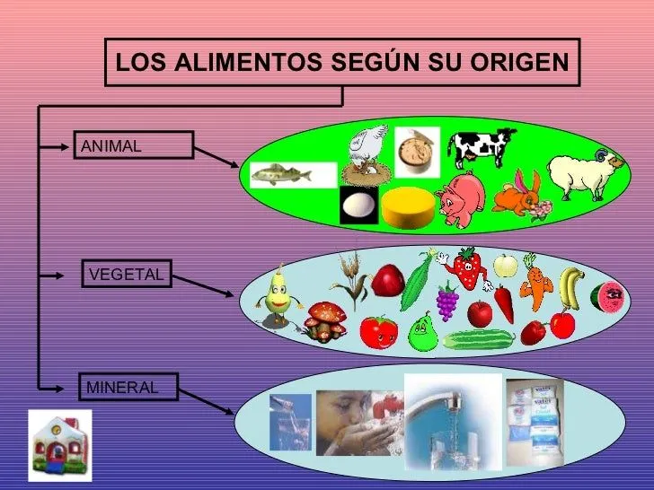 Los Alimentos