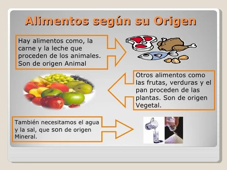 Los Alimentos