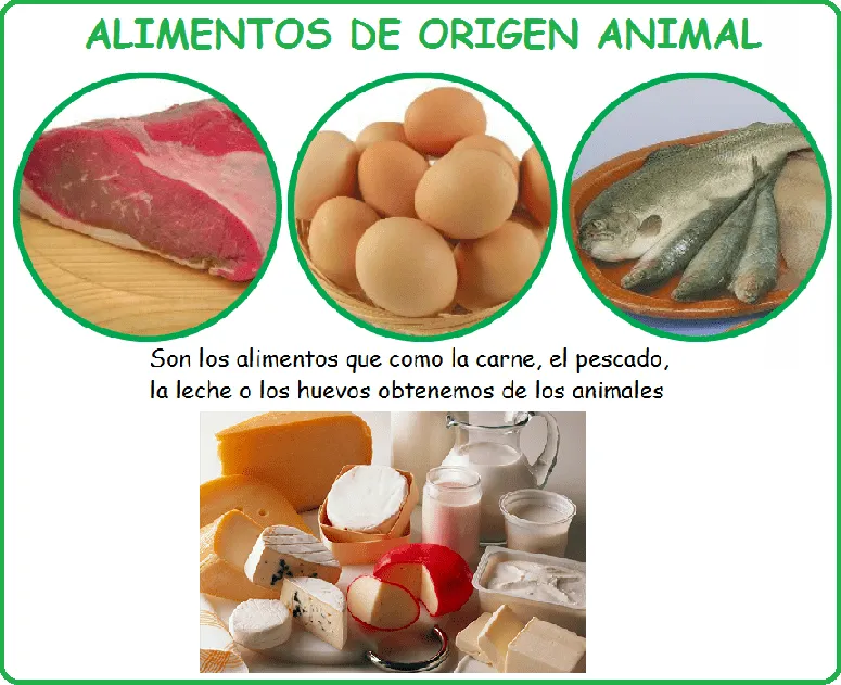 Los alimentos