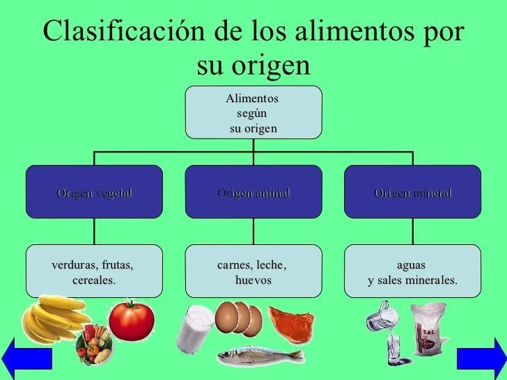 Los alimentos