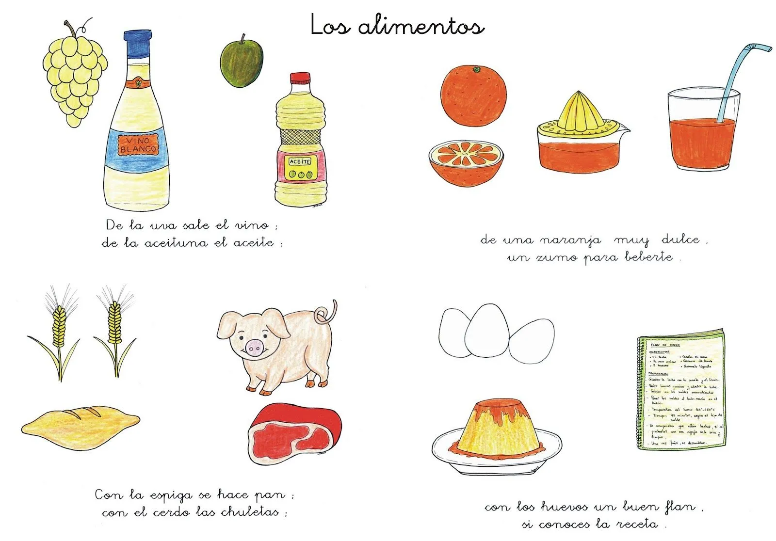 Alimentos para colorear según su origen - Imagui