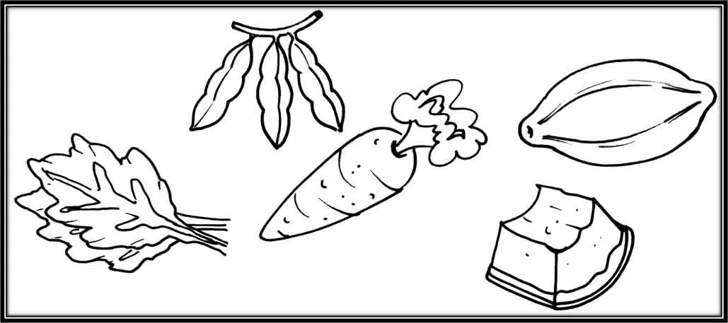 Imagenes para colorear de alimentos constructores - Imagui