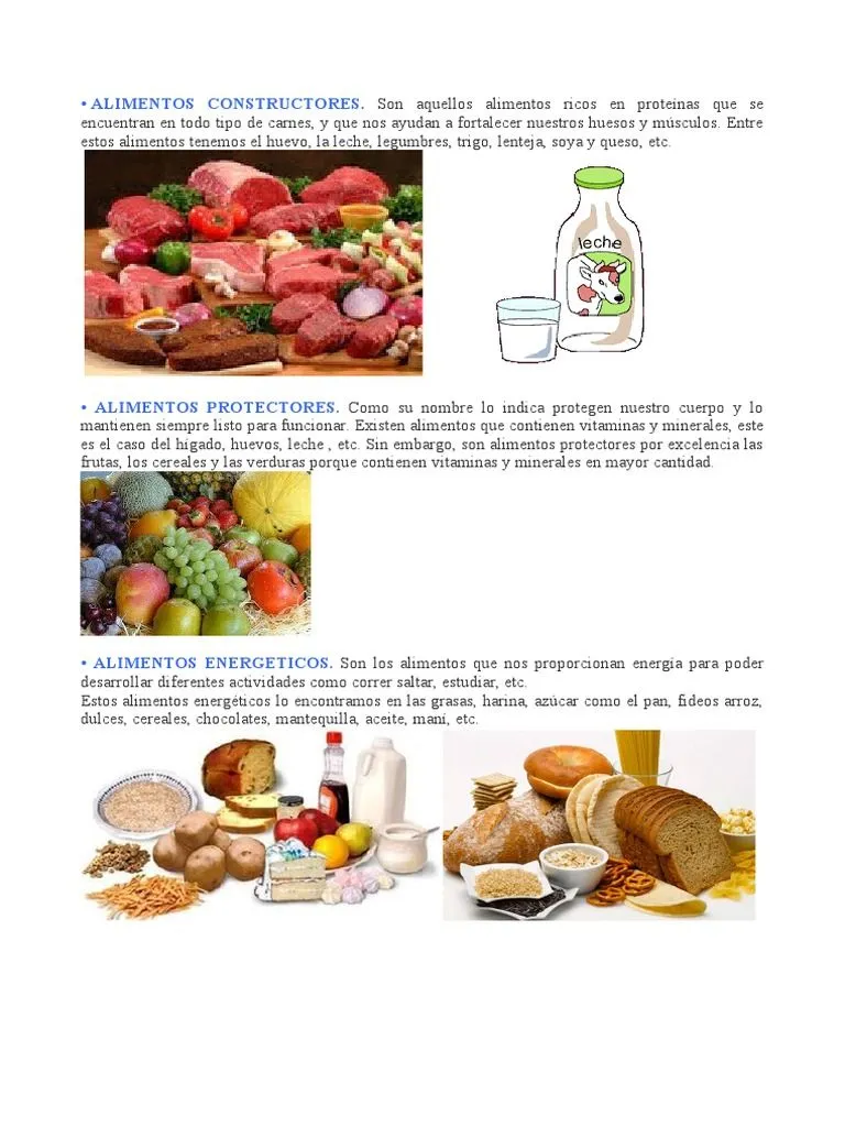 Alimentos Constructores | PDF