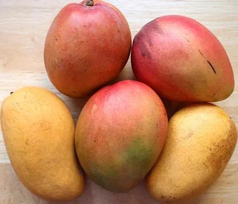 ALIMENTOS FOTOS DIBUJOS IMAGENES Y MAS: FOTOS DE MANGOS