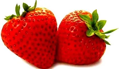 ALIMENTOS FOTOS DIBUJOS IMAGENES Y MAS: FOTOS: FRUTAS CON F O QUE ...