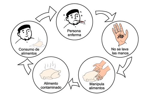 Alimentos Inocuos: Contaminación cruzada