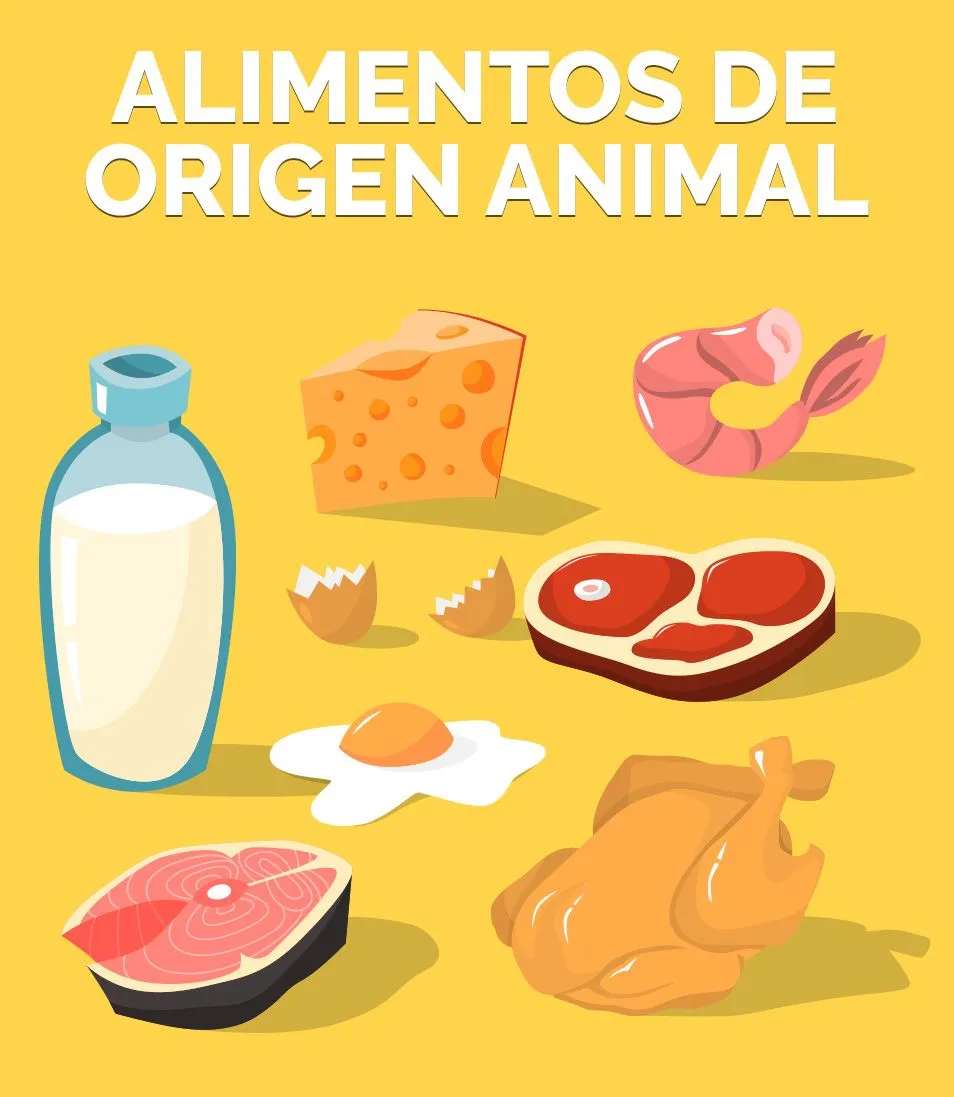 alimentos de origen animal infografia - Juegos infantiles