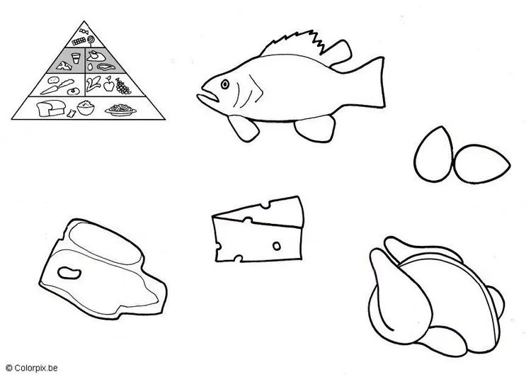 Alimentos por su origen animal vegetal y mineral para pintar - Imagui