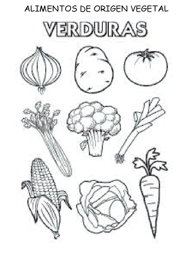 ALIMENTOS DE ORIGEN VEGETAL 5 Años | PDF