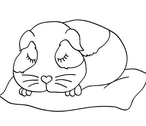 COLOREAR DIBUJOS DE HAMSTERS | Dibujos para colorear